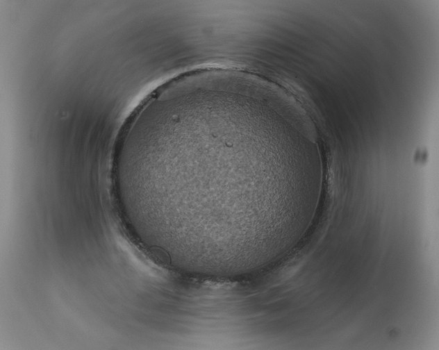 X0000113230484200909241526