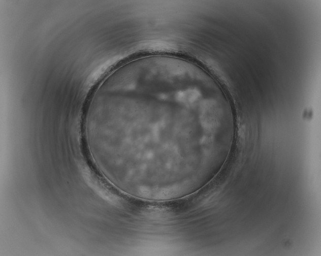 X0000113230487200909241526