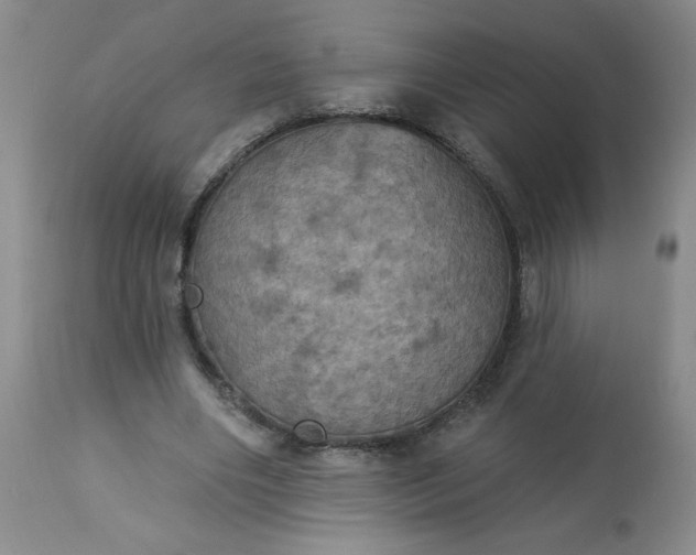 X0000113230490200909241526