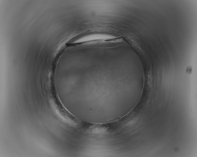 X0000113230491200909241526