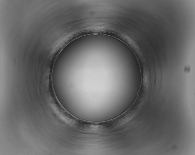 X0000113230493200909241526