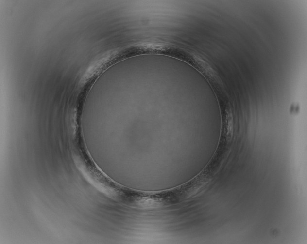 X0000113230494200909241526