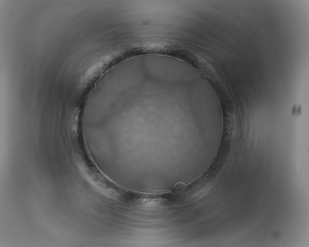 X0000113230495200909241526