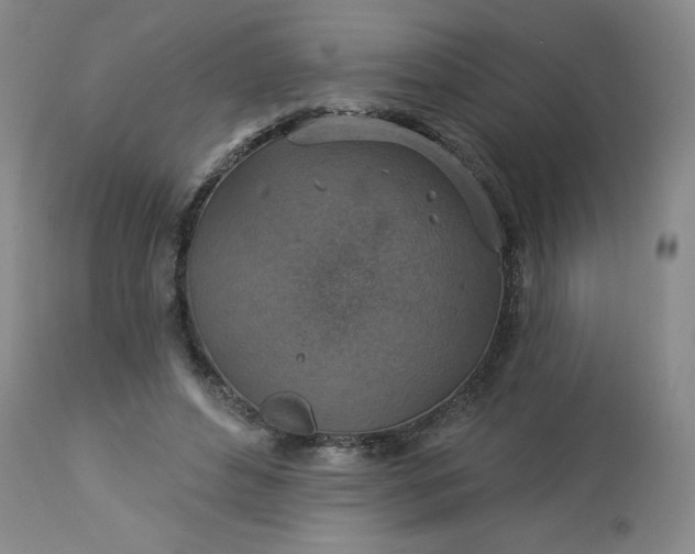 X0000113230496200909241526