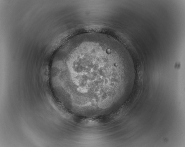 X0000113230498200909241526