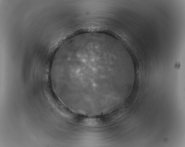 X0000113230499200909241526