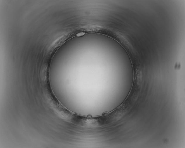 X0000113230501200909241526