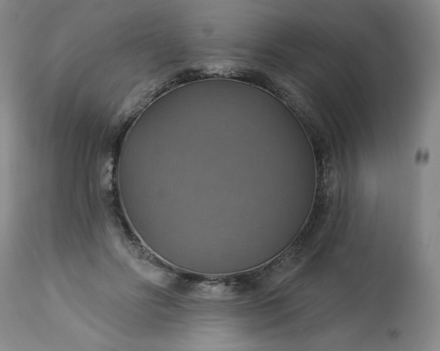 X0000113230502200909241526