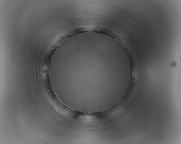 X0000113230503200909241526