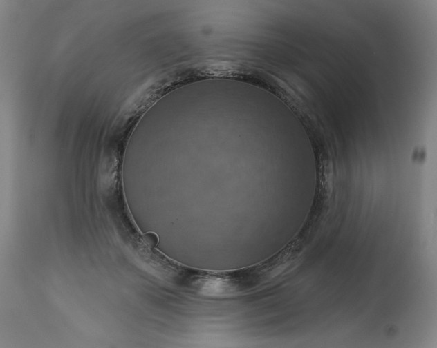 X0000113230507200909241526