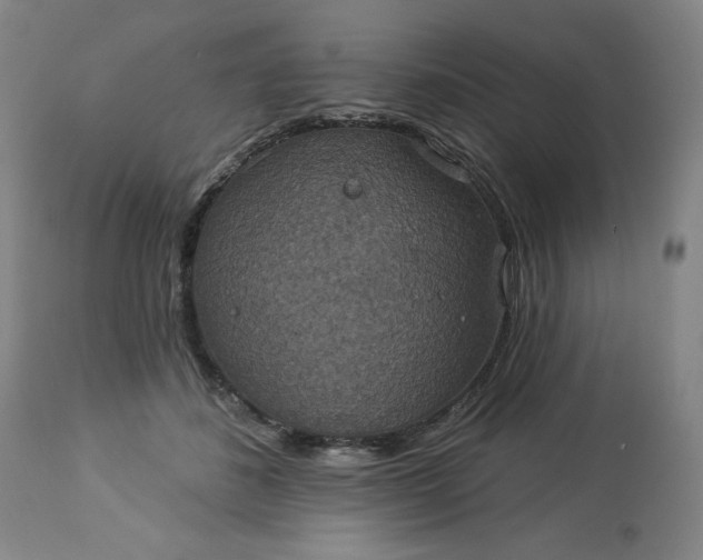 X0000113230508200909241526