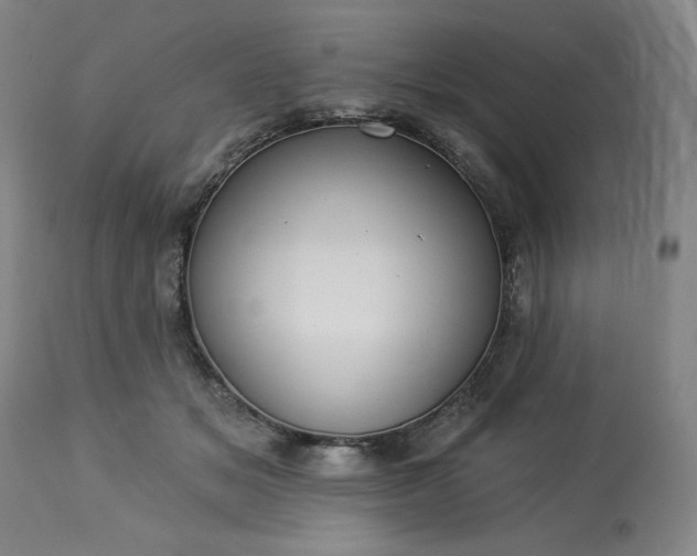 X0000113230509200909241526