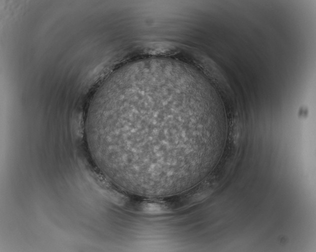 X0000113230510200909241526