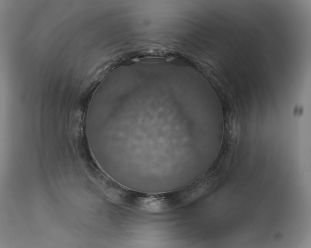 X0000113230511200909241526