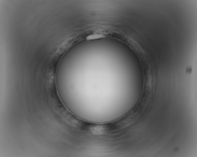 X0000113230513200909241526