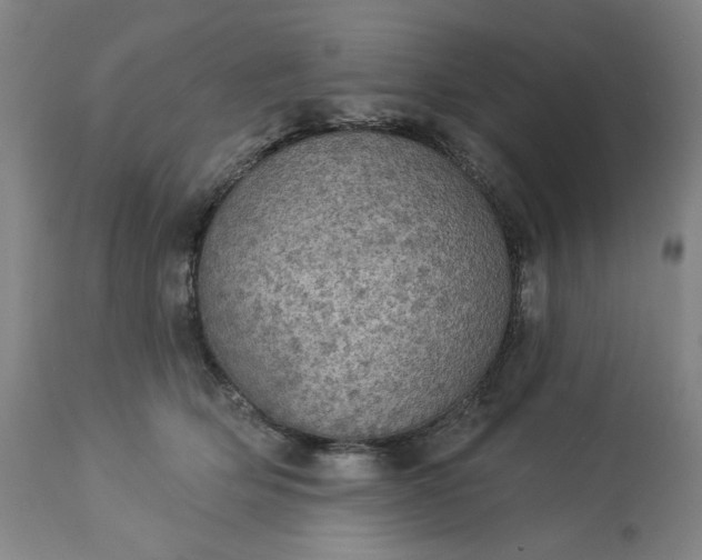 X0000113230514200909241526