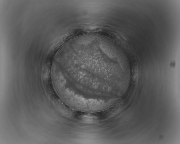 X0000113230515200909241526