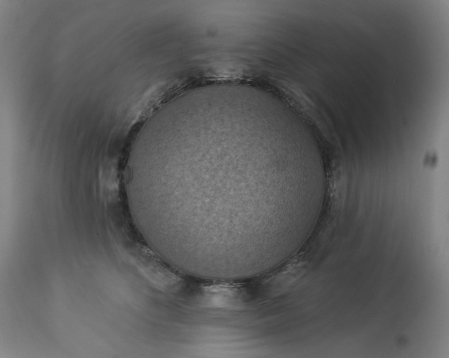 X0000113230516200909241526