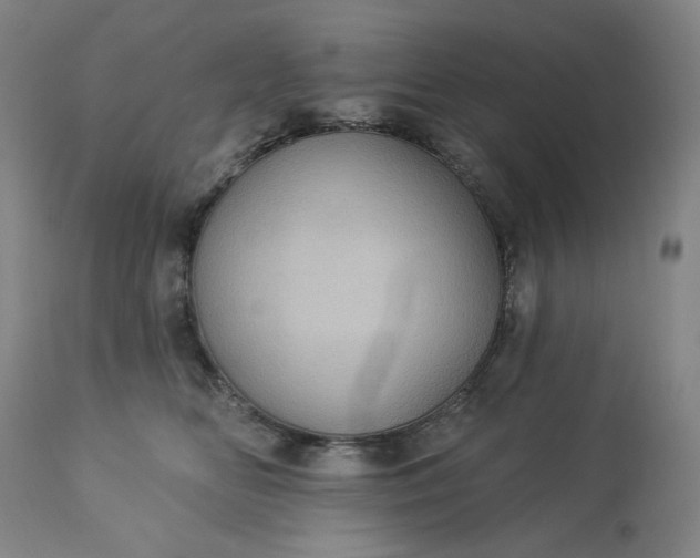 X0000113230518200909241526