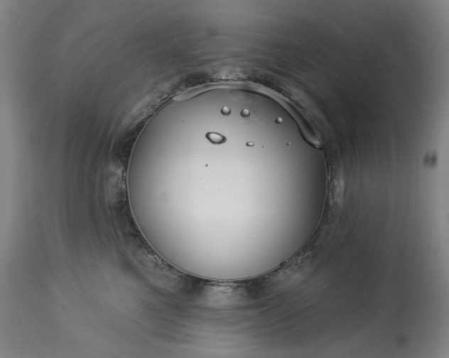 X0000113230521200909241526