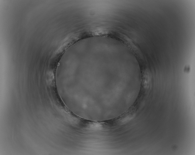 X0000113230523200909241525