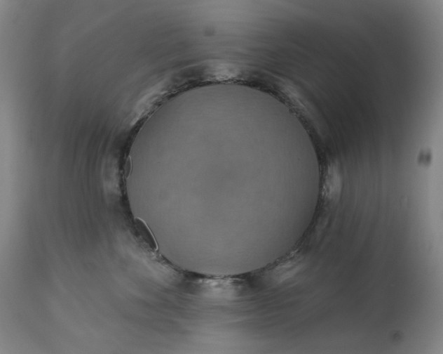 X0000113230524200909241525