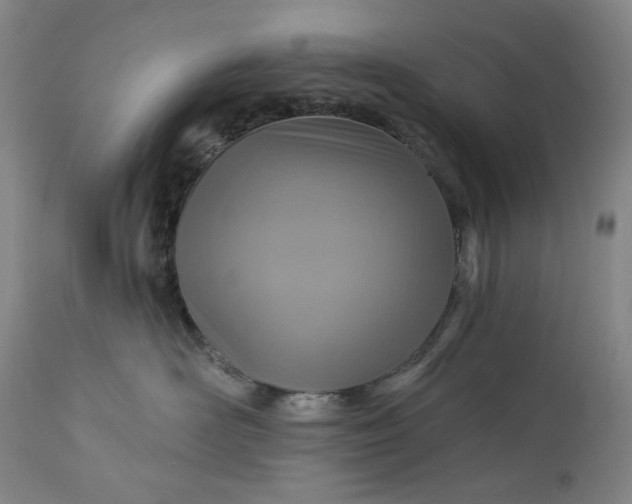 X0000113230526200909241525