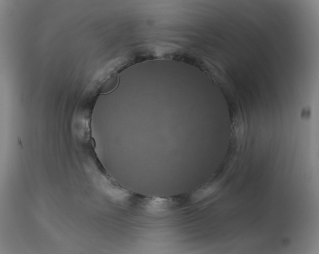 X0000113230527200909241525