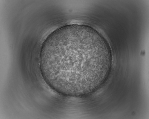 X0000113230529200909241525