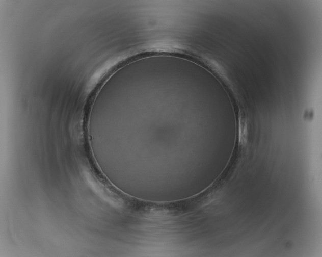 X0000113230531200909241525