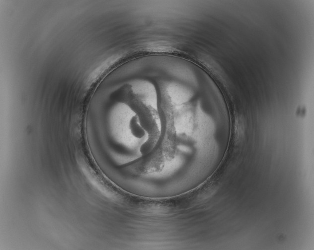 X0000113230533200909241525