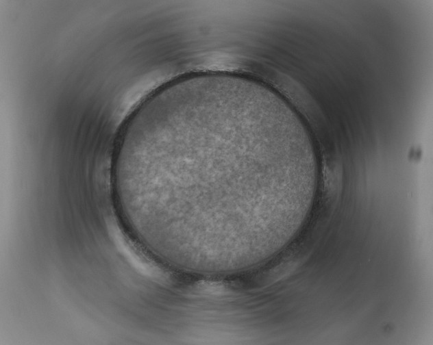 X0000113230534200909241525