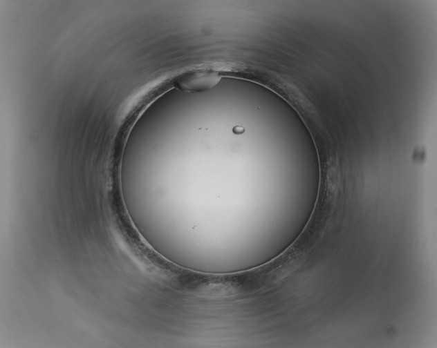 X0000113230536200909241525