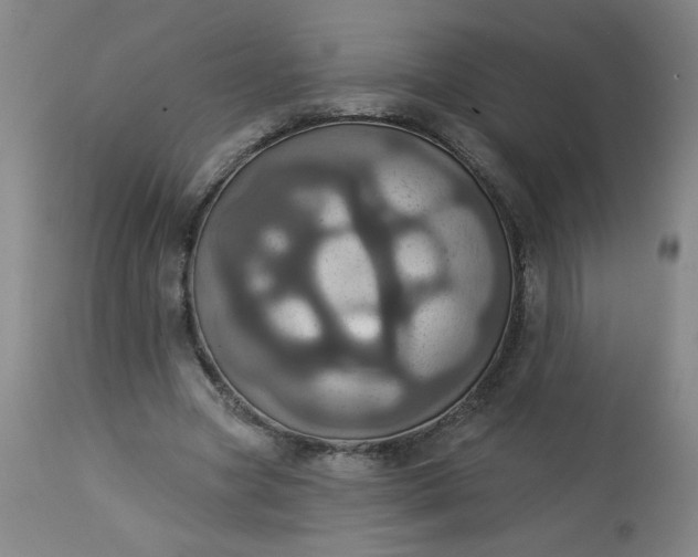 X0000113230537200909241525