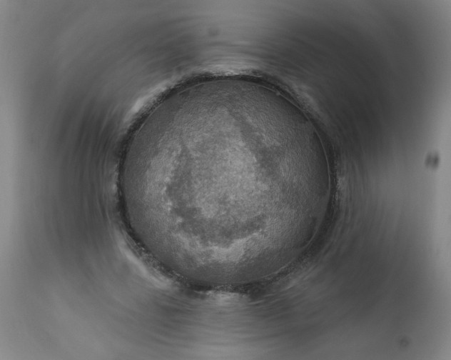 X0000113230539200909241525