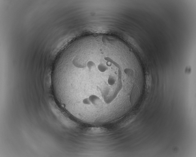 X0000113230541200909241525