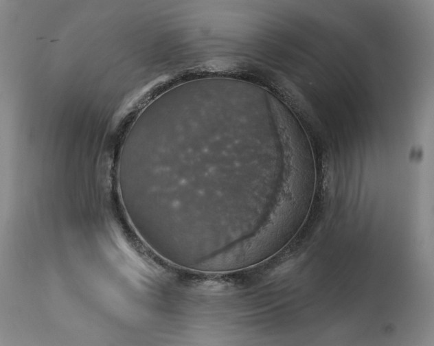 X0000113230542200909241525