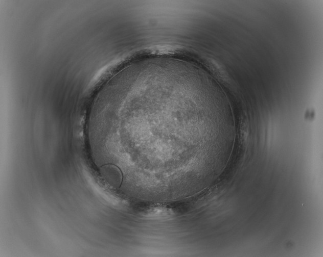 X0000113230543200909241525