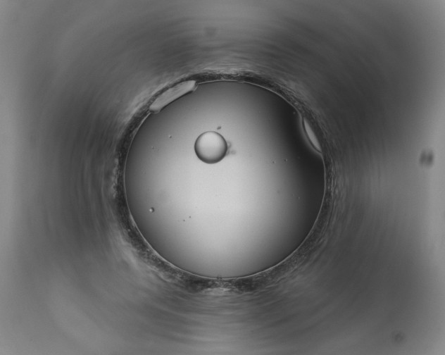 X0000113230544200909241525