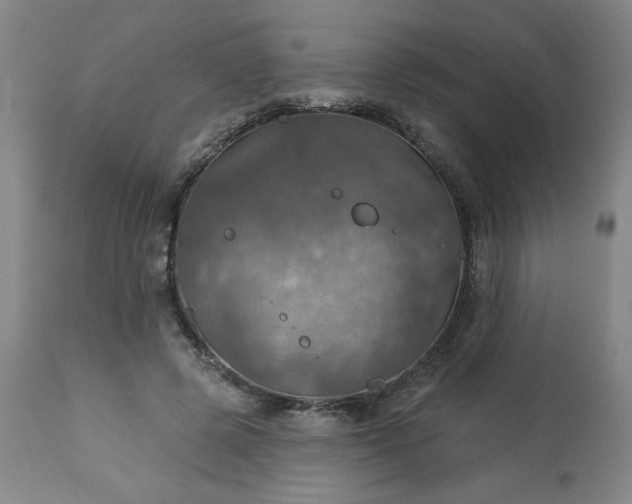 X0000113230545200909241525