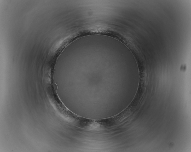 X0000113230547200909241525