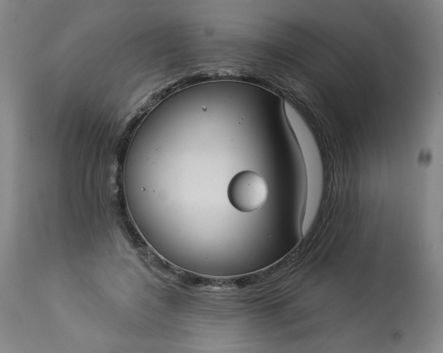 X0000113230548200909241525