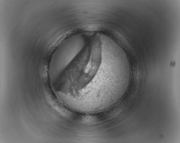 X0000113230549200909241525