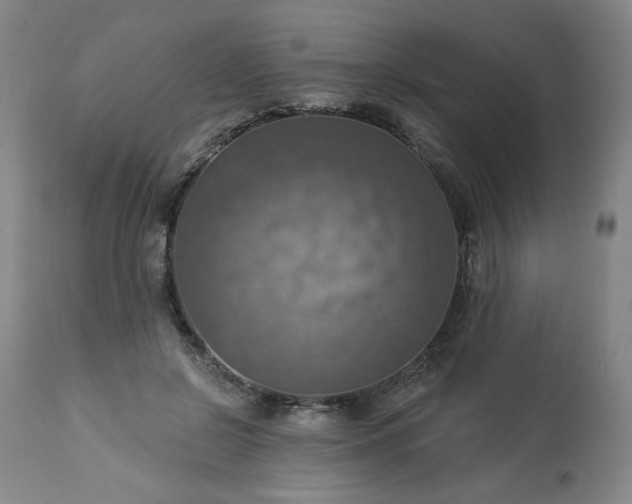 X0000113230550200909241525