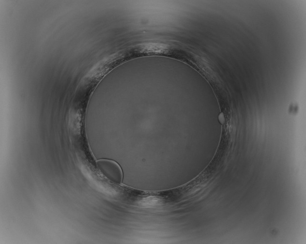 X0000113230551200909241525