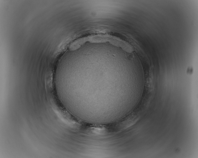 X0000113230552200909241525