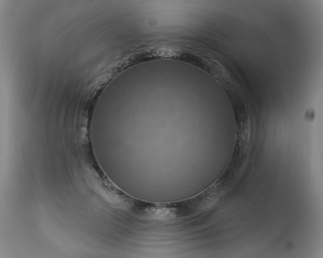 X0000113230553200909241525