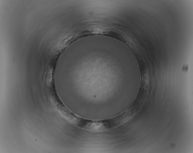 X0000113230554200909241525