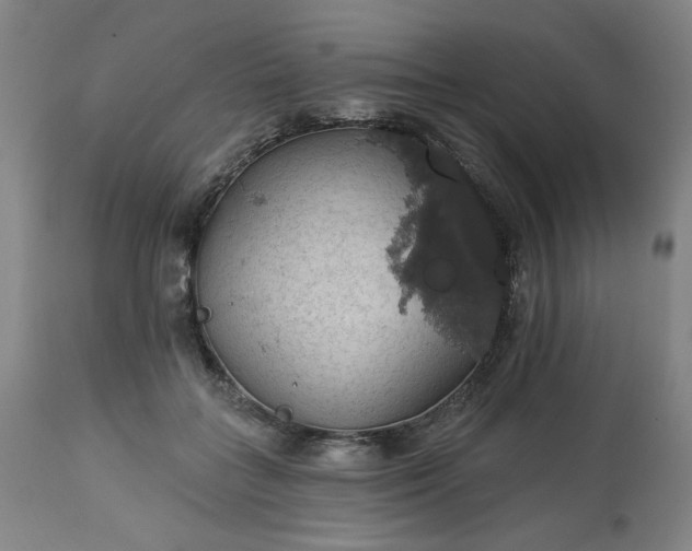 X0000113230555200909241525