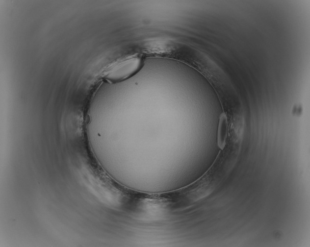 X0000113230556200909241525